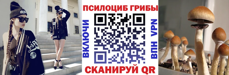продажа наркотиков  Мантурово  Галлюциногенные грибы прущие грибы 